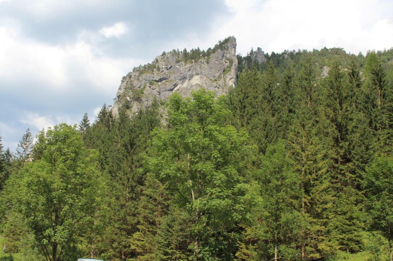 Apartman Romanna Terchova Bagian luar foto
